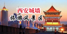 8x8x黄色网站中国陕西-西安城墙旅游风景区